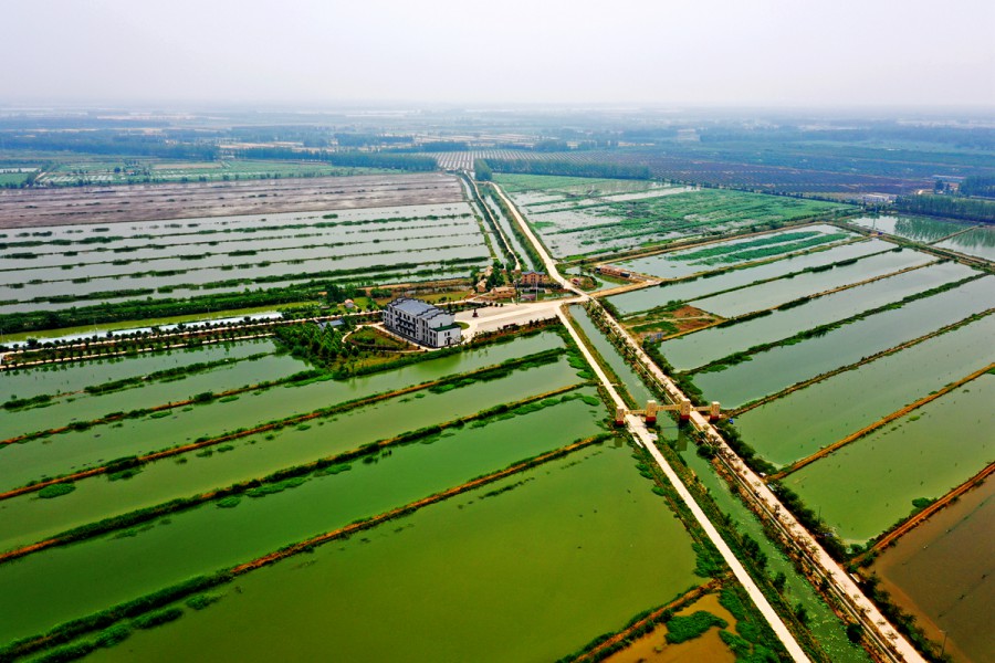 DJI_0873.jpg