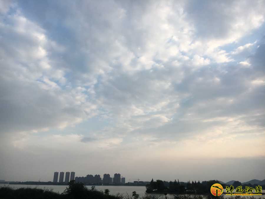 ABF8B1A5-8369-4A6D-A705-D1BD30A621EF.jpeg