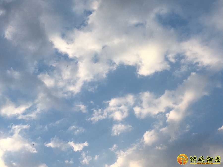 1A8DF4F1-5C74-4866-969A-B7711832093F.jpeg