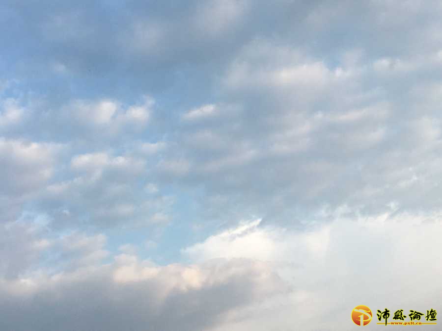 963FB754-F33B-45A5-B722-93DE1BF8FBF6.jpeg