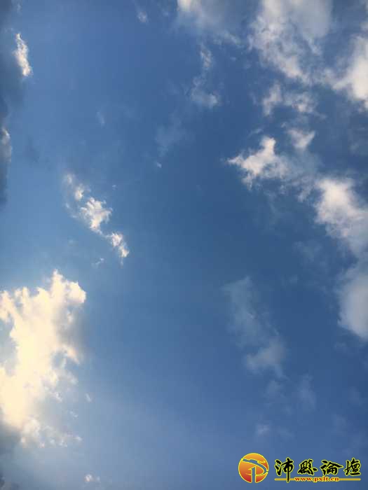 4D4E362D-0AC8-412F-AB7A-CD921F3FDC97.jpeg
