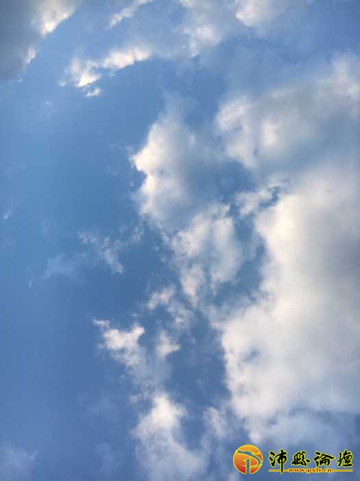 44C00E2C-6AED-435F-80B7-2DF4B9C887EF.jpeg