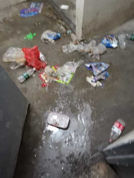 IMG_20200820_152731.jpg