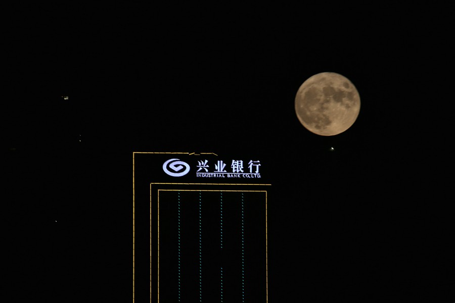 IMG_9766.jpg