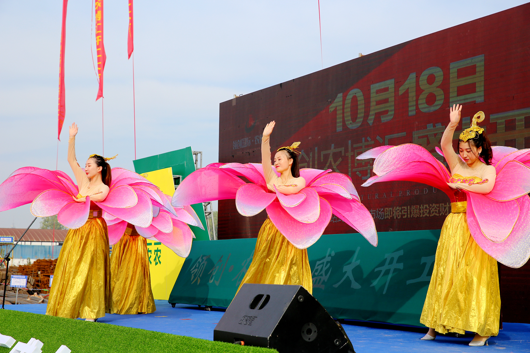 IMG_1671.JPG