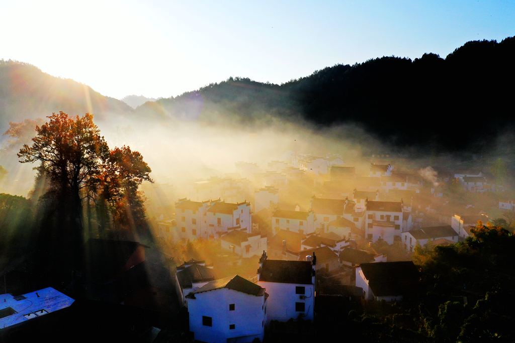DJI_0638.jpg