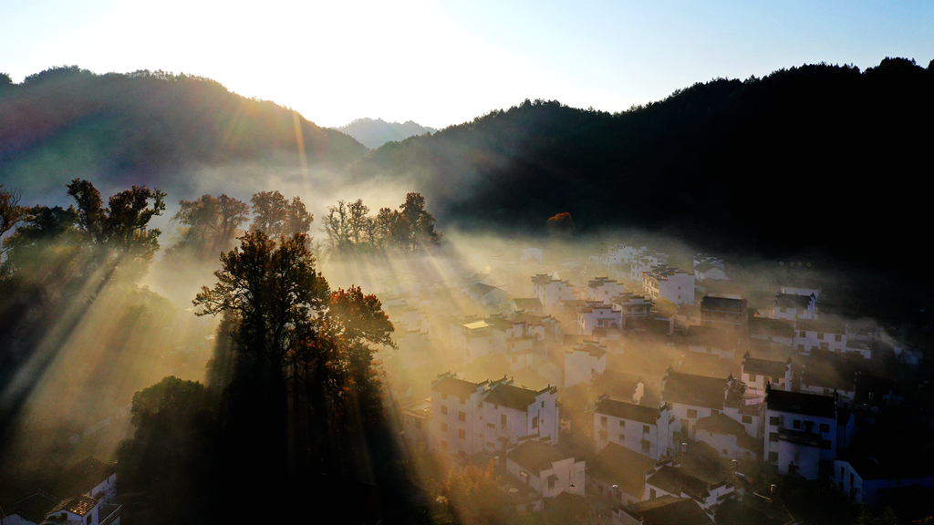 DJI_0650.jpg
