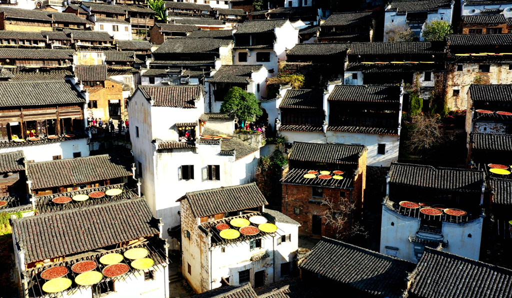 QQ图片20201116084338.jpg