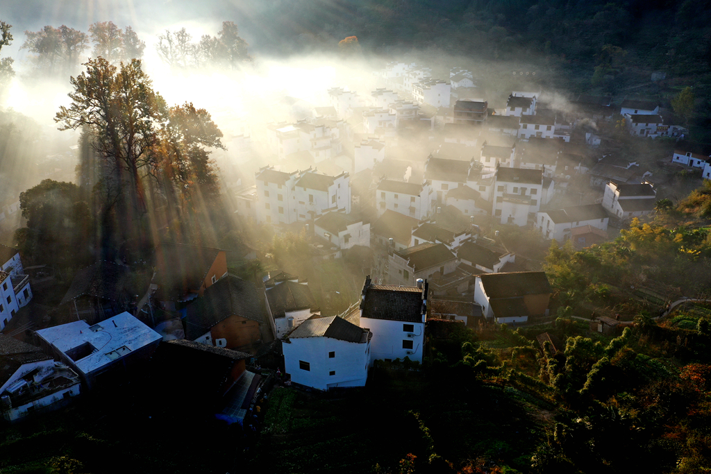 DJI_0645.jpg