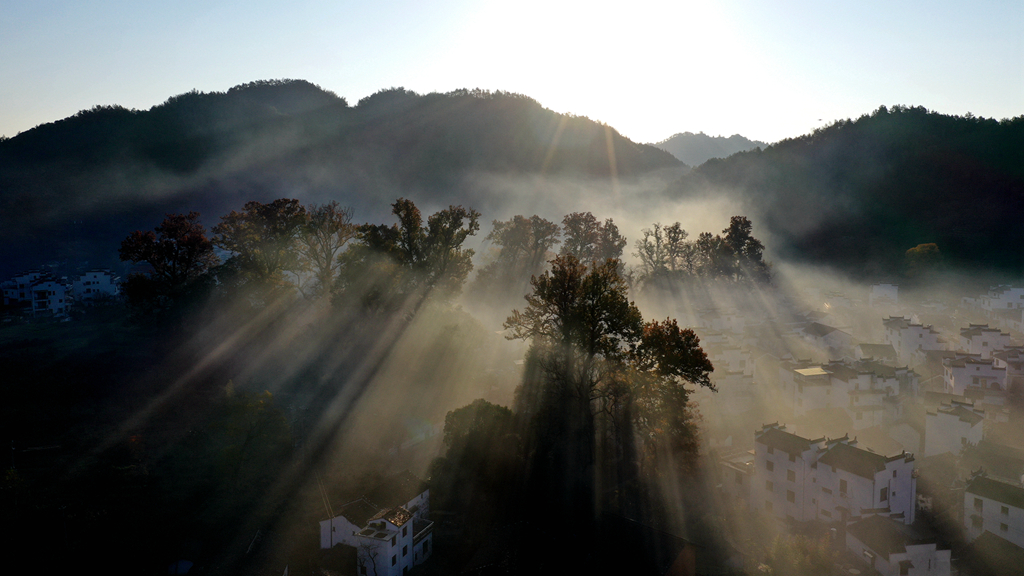 DJI_06504.jpg