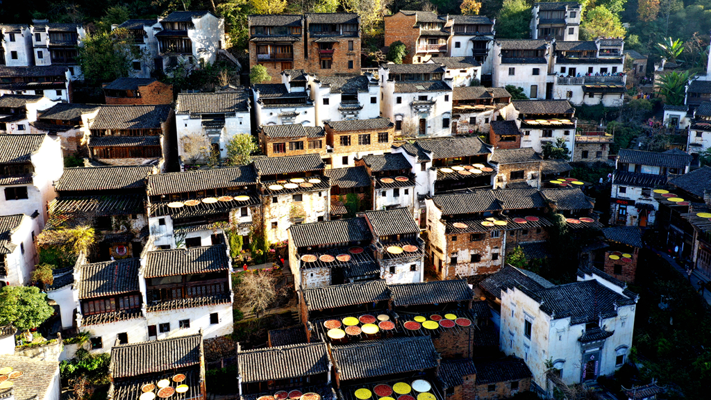 DJI_0701.jpg
