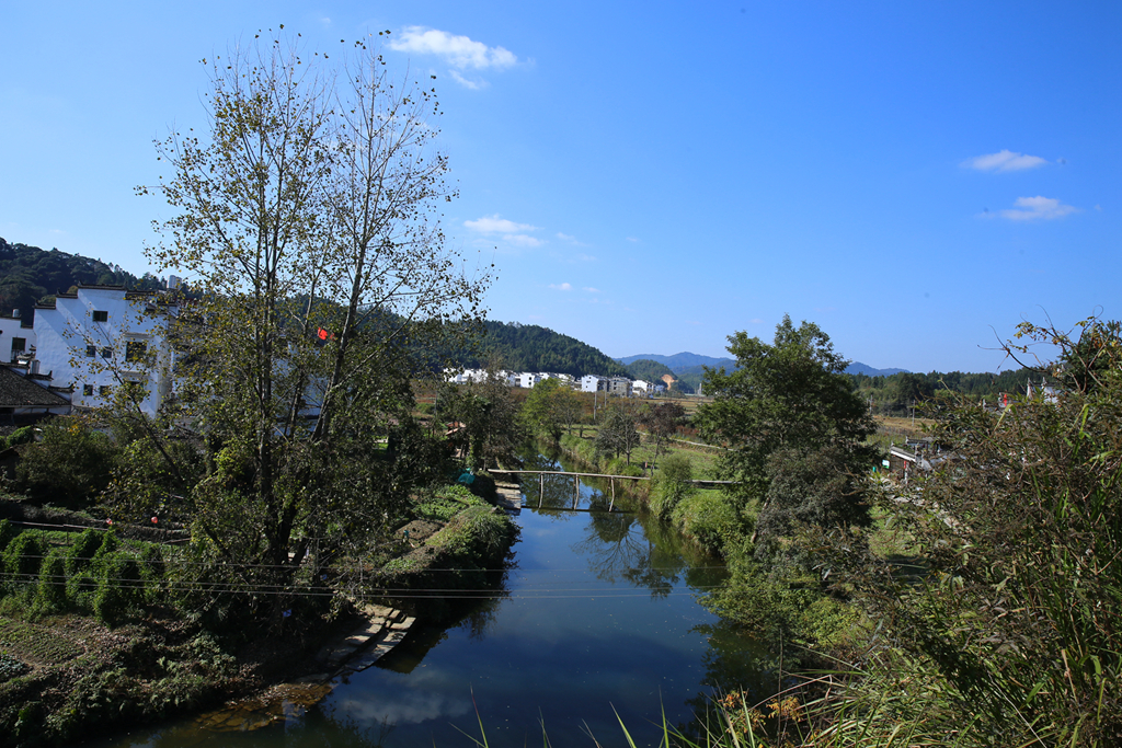 IMG_2768.jpg