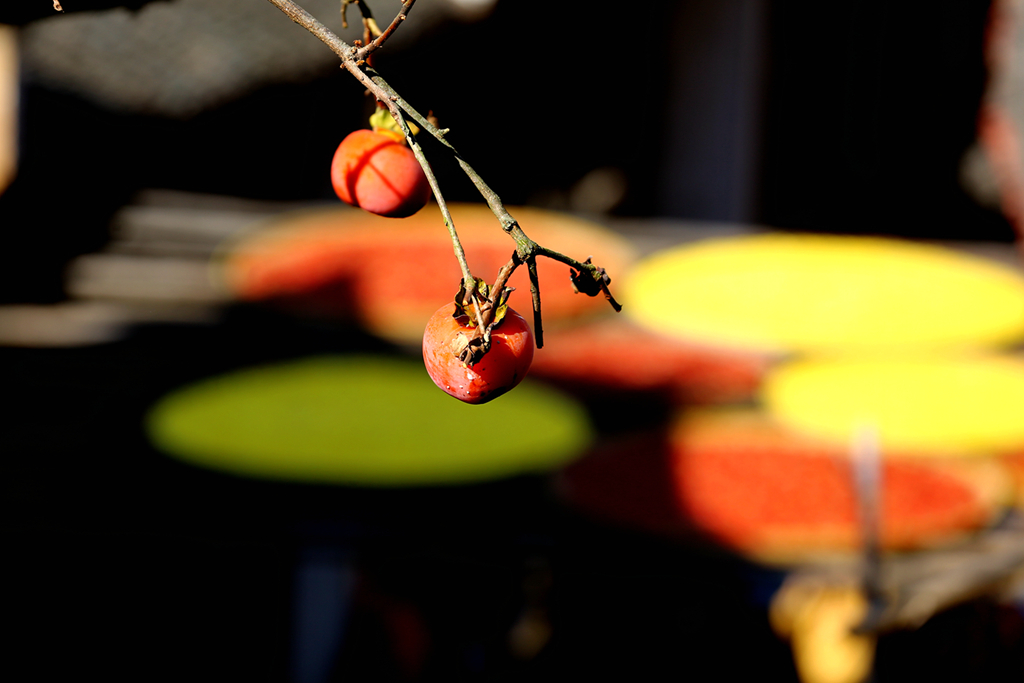 IMG_2986.jpg