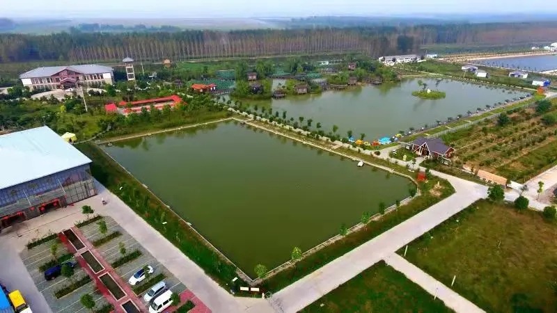 mmexport1608204367136.jpg
