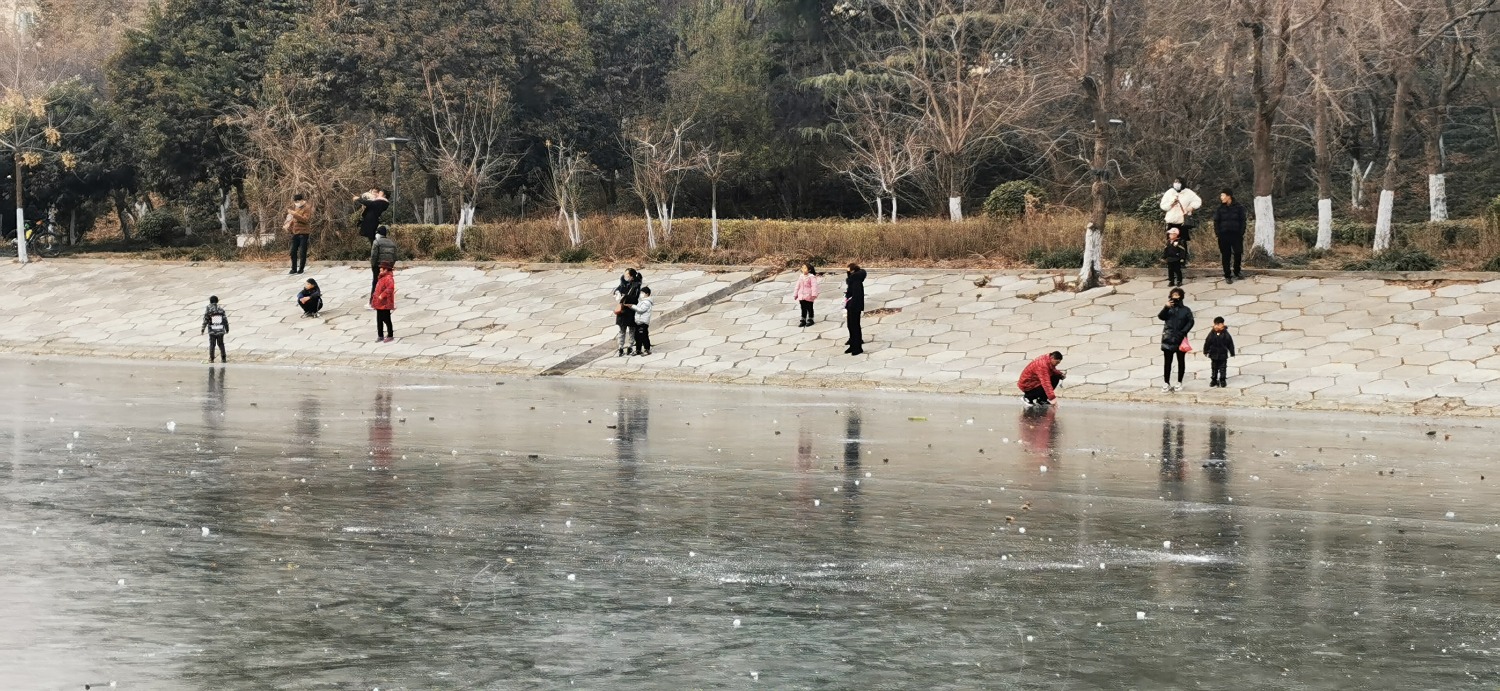 IMG_20210110_144310.jpg