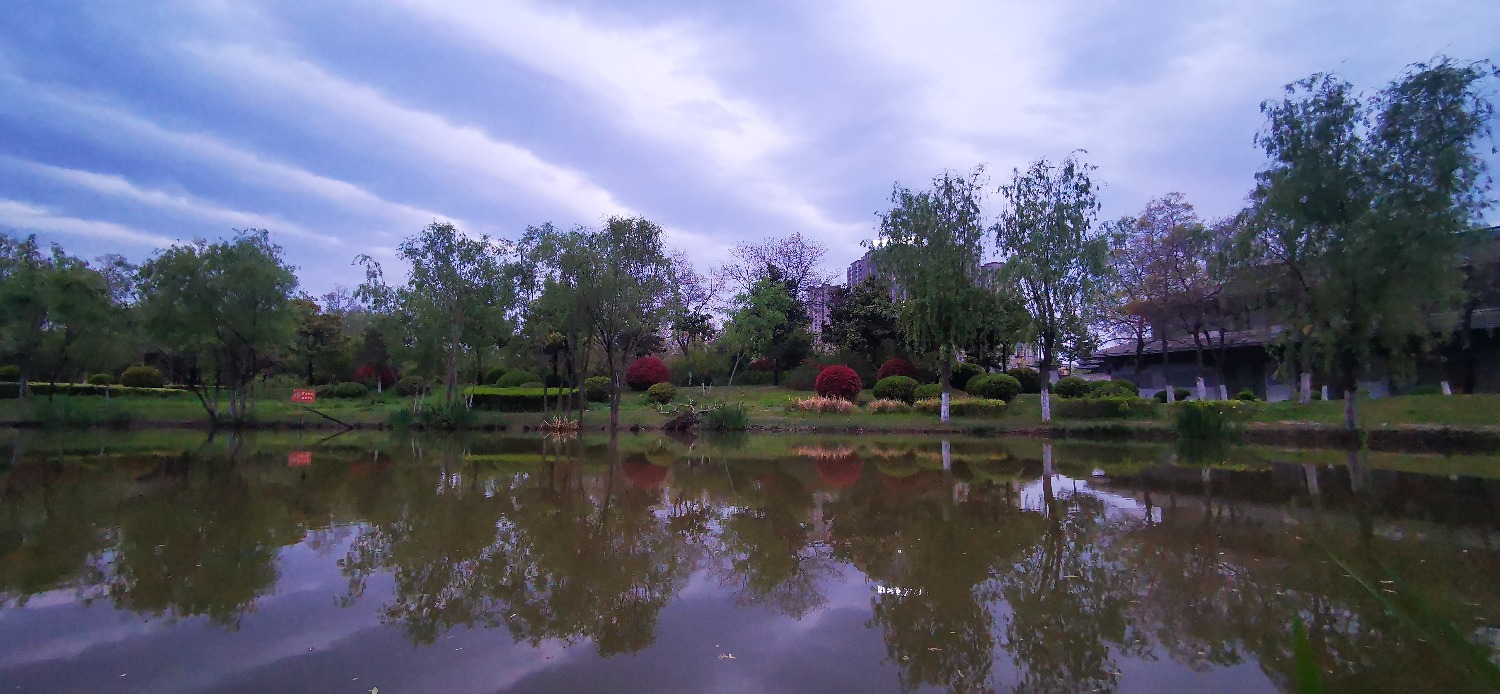 IMG_20210420_184632.jpg