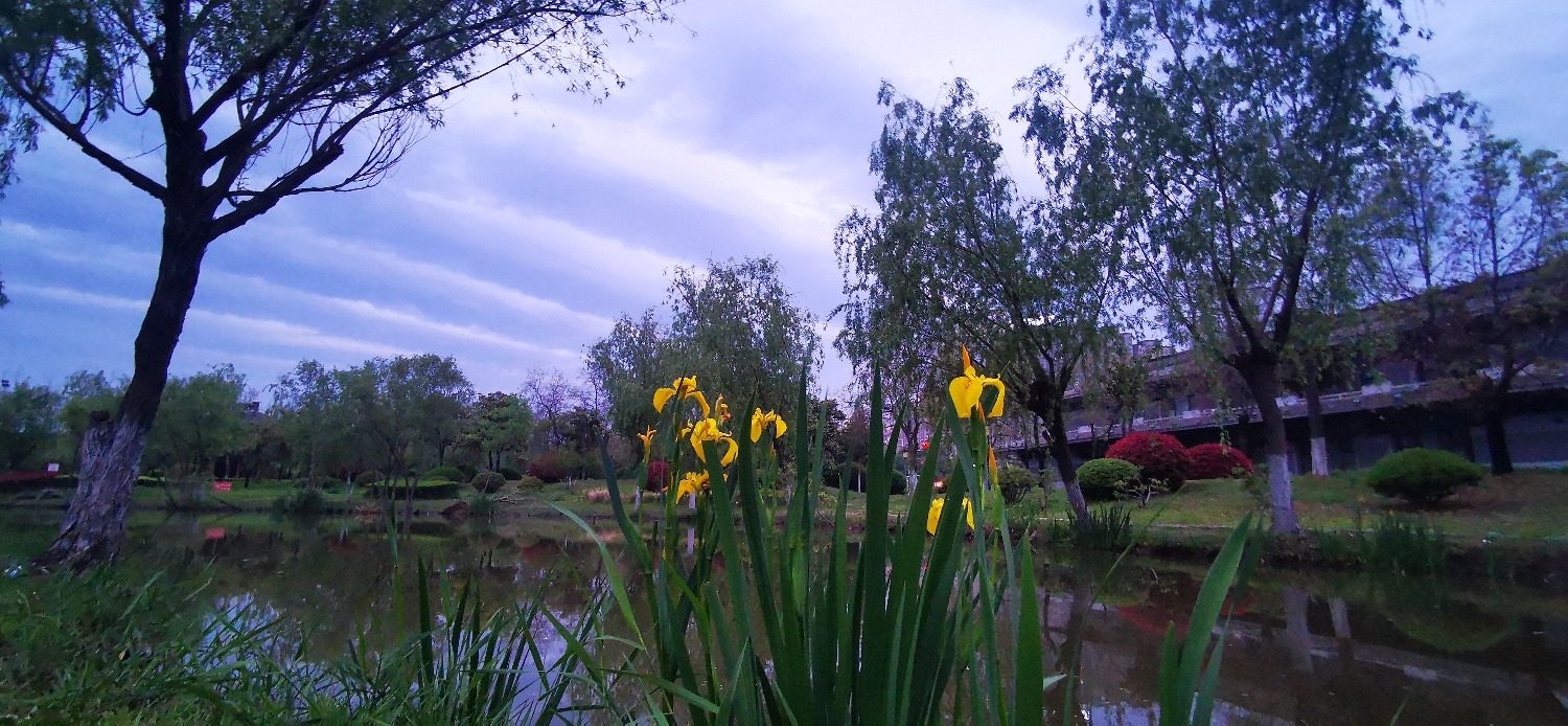 IMG_20210420_184536.jpg