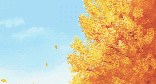 350843b72a517a190016572c73aebb7b~640x640.gif