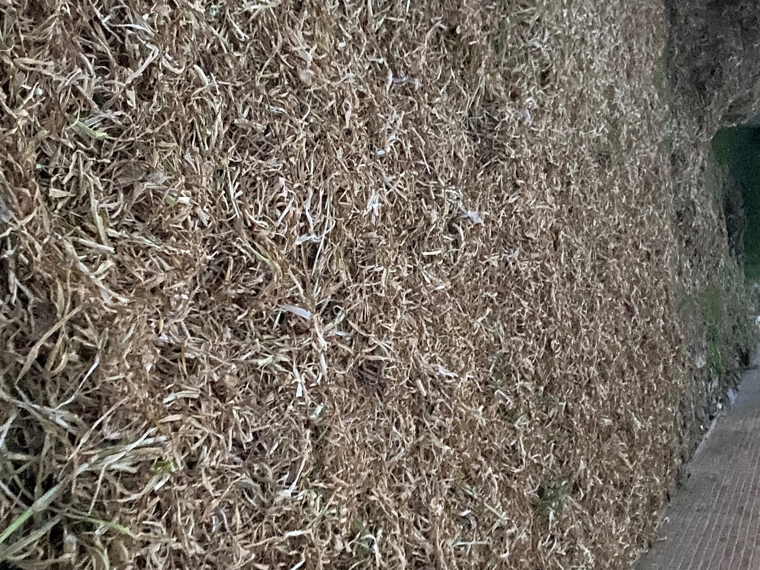 6A82757B-1AF6-431F-B183-BCF7795FFD45.jpeg
