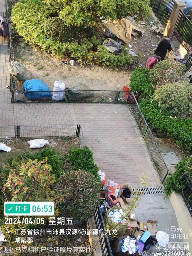1715732479441.jpg