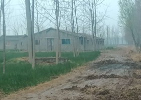 沛县胡寨镇土楼村的路真的非常难走，下了雨就像是在和稀泥！