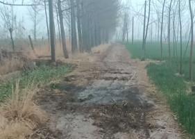 沛县胡寨镇土楼村的路真的非常难走，下了雨就像是在和稀泥！
